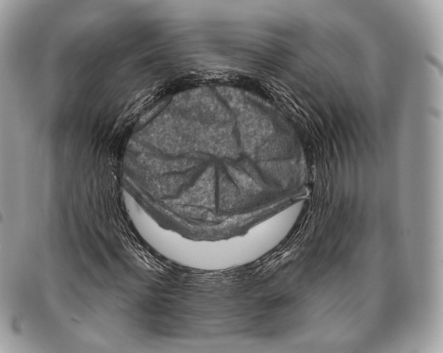 X0000095900916200802081136