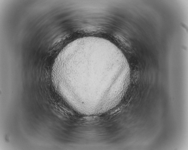 X0000095900917200802081136