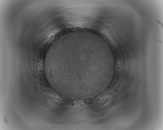 X0000095900918200802081136