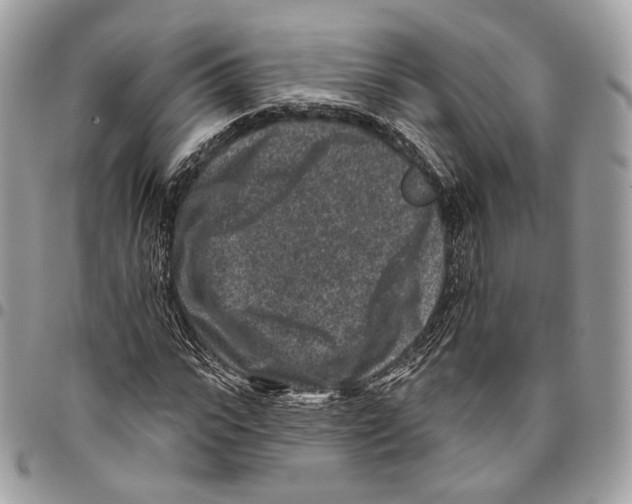 X0000095900919200802081136