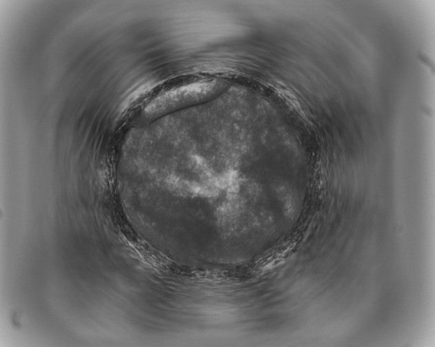 X0000095900920200802081136