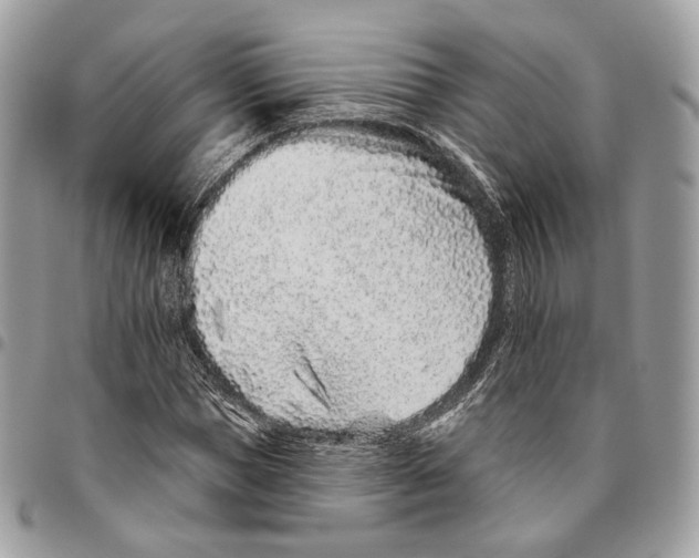 X0000095900921200802081136