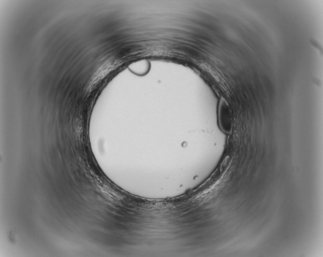 X0000095900922200802081136