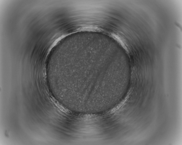 X0000095900923200802081136