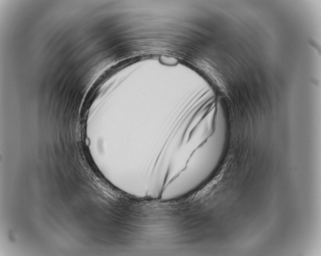 X0000095900924200802081137