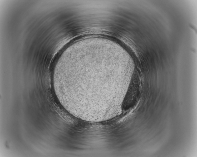 X0000095900925200802081137