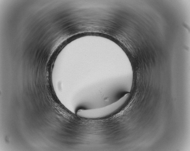 X0000095900926200802081137