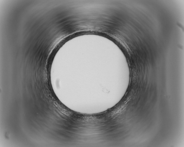 X0000095900927200802081137