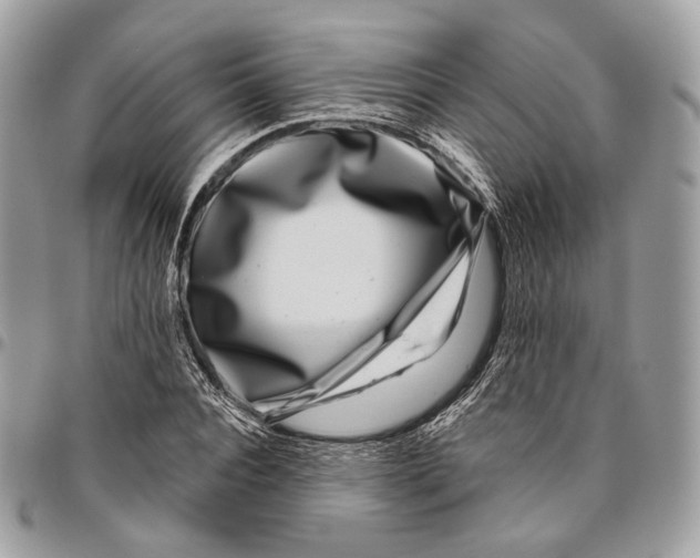 X0000095900928200802081137