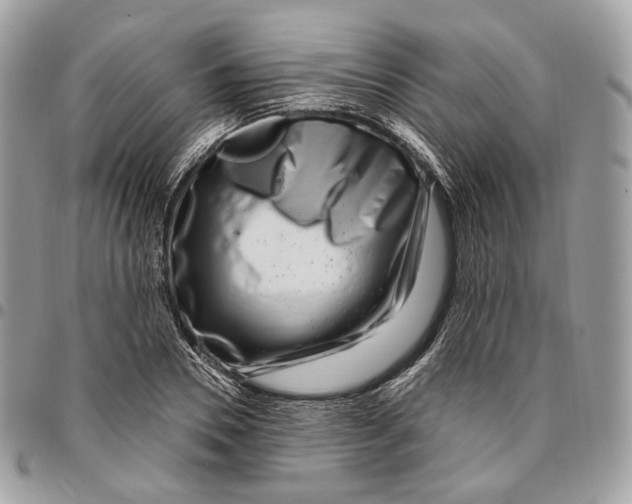 X0000095900930200802081137