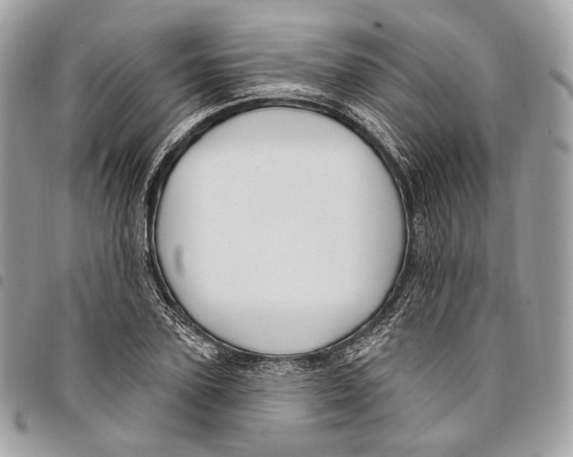 X0000095900931200802081137