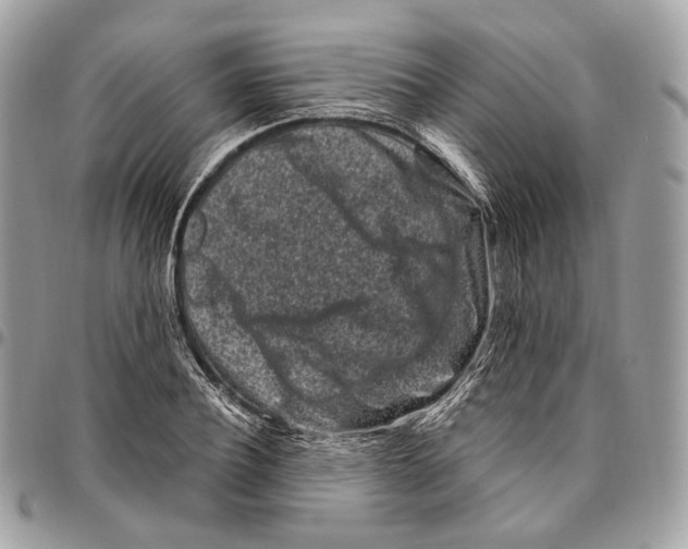 X0000095900932200802081137