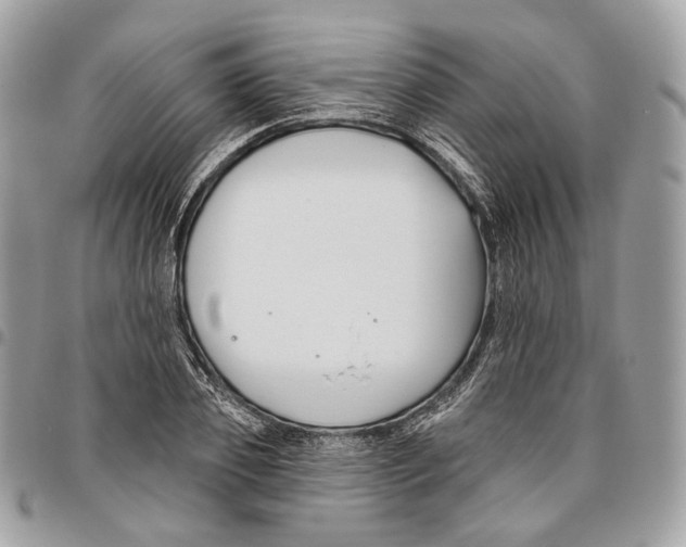 X0000095900933200802081137