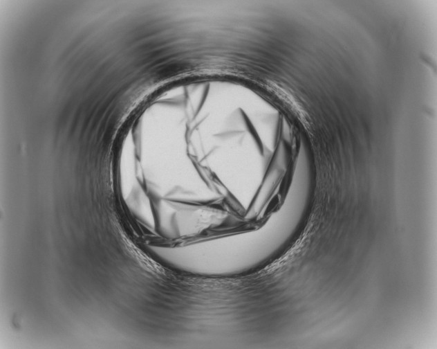 X0000095900934200802081137