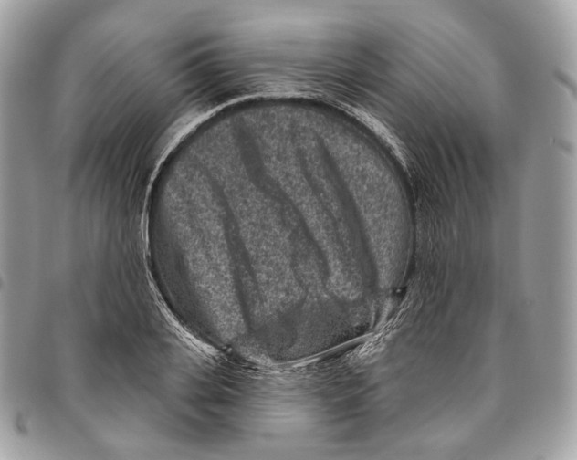 X0000095900935200802081137