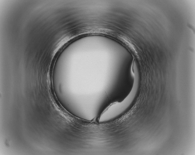 X0000095900936200802081137