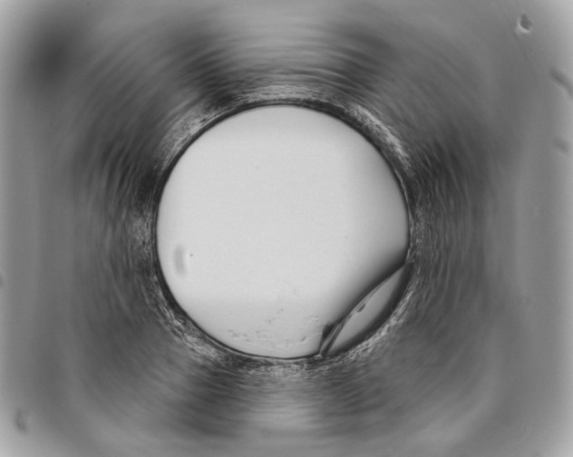 X0000095900937200802081137