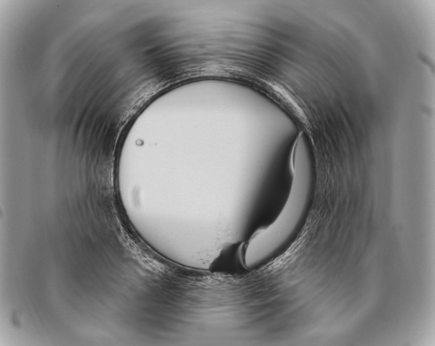 X0000095900938200802081137