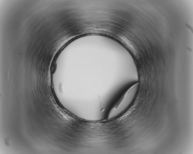 X0000095900940200802081137