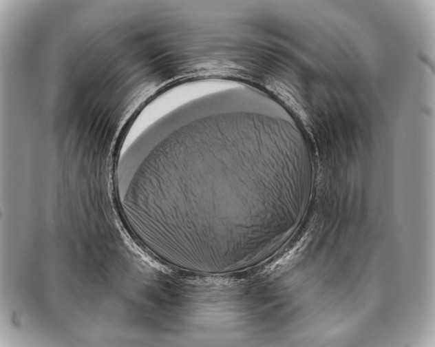 X0000095900941200802081137