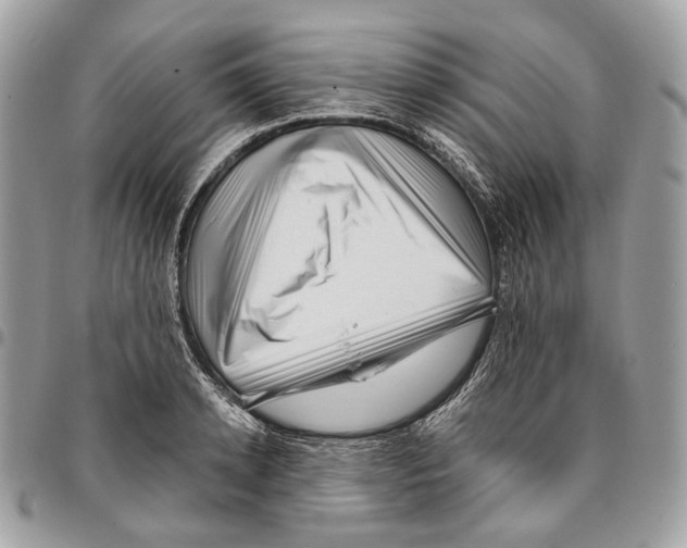 X0000095900942200802081137