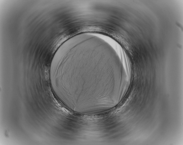 X0000095900945200802081137