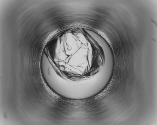 X0000095900946200802081137