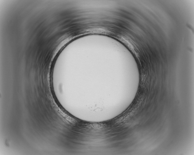 X0000095900947200802081137