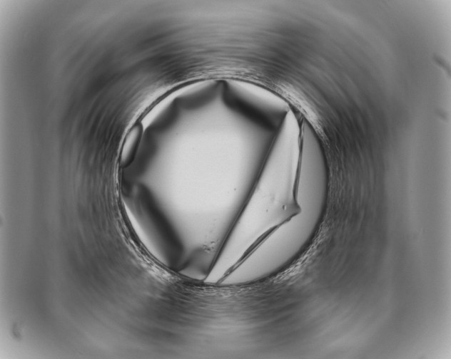 X0000095900948200802081137