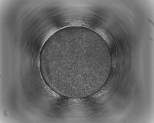 X0000095900950200802081137