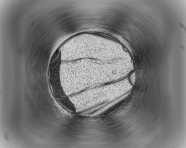 X0000095900951200802081137