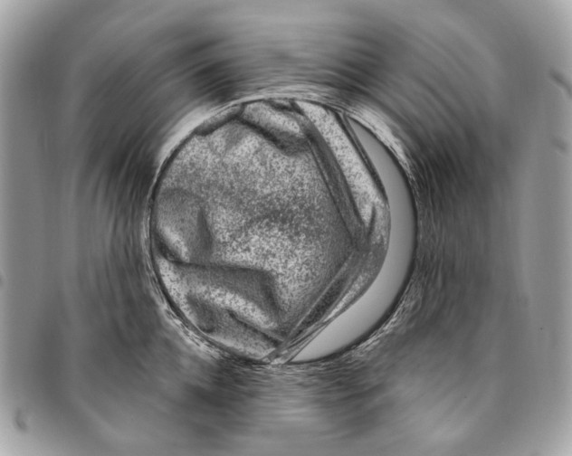 X0000095900952200802081137