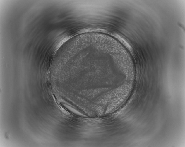 X0000095900953200802081137