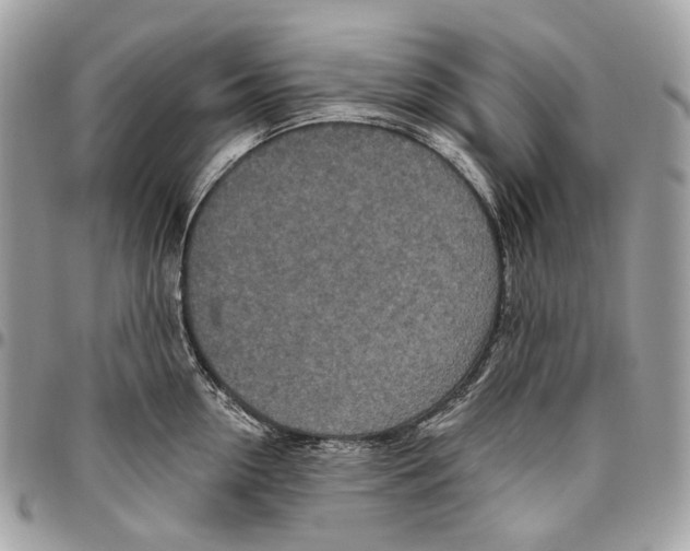 X0000095900954200802081137