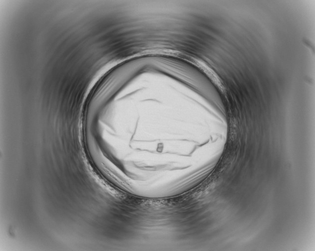 X0000095900955200802081137