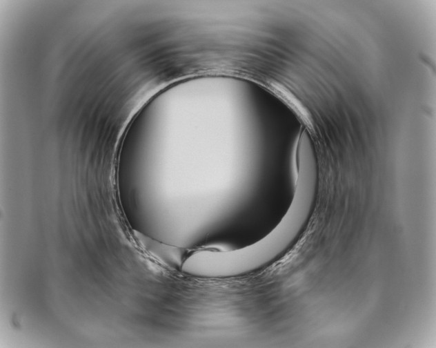 X0000095900956200802081137