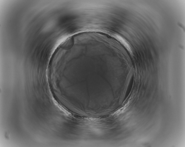 X0000095900958200802081137