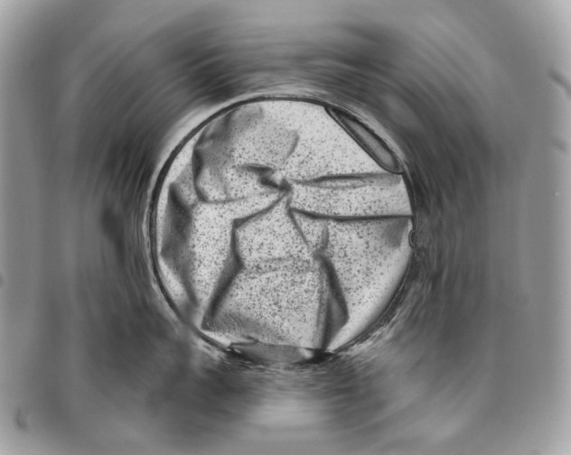 X0000095900959200802081137