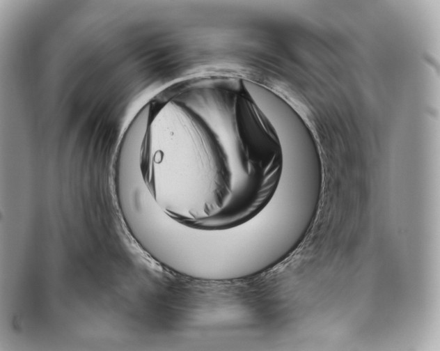 X0000095900960200802081137