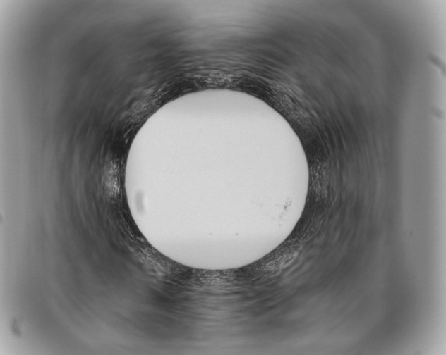 X0000095900962200802081136