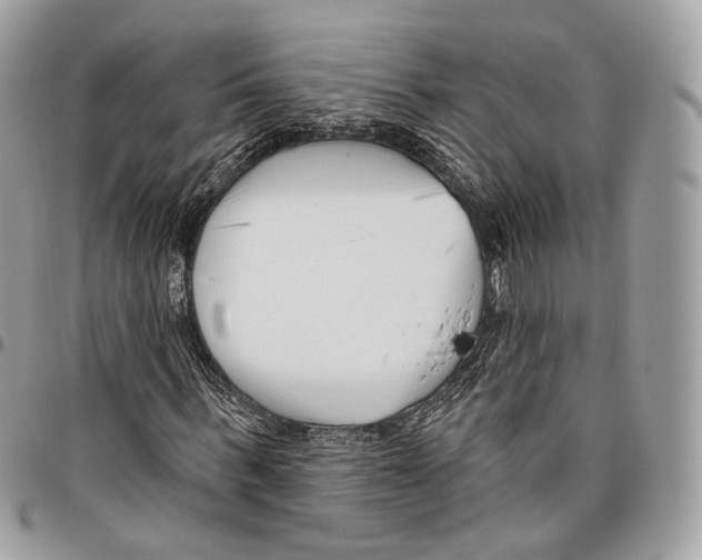 X0000095900963200802081136