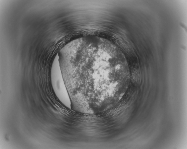 X0000095900964200802081136