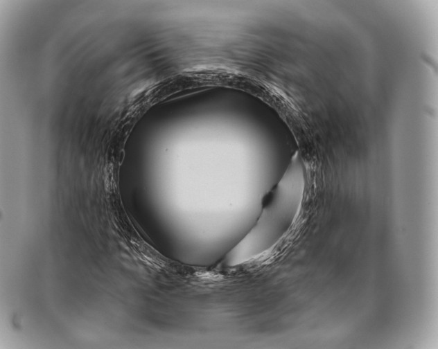 X0000095900965200802081136