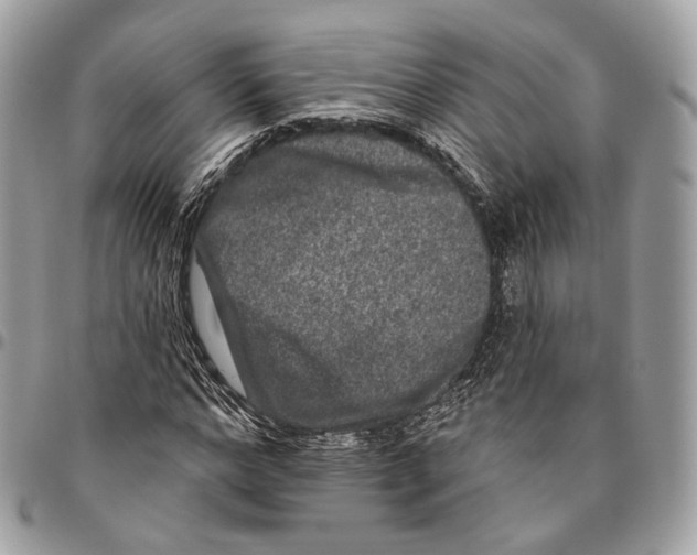 X0000095900968200802081136