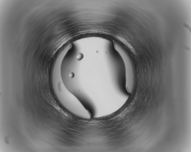 X0000095900969200802081136