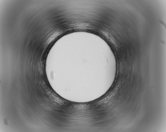 X0000095900970200802081136