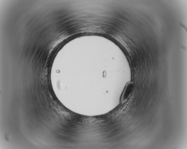 X0000095900971200802081136