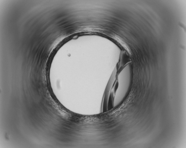 X0000095900972200802081136