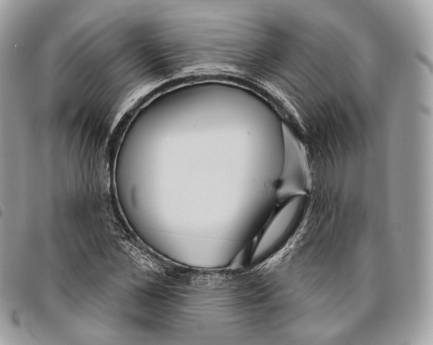 X0000095900973200802081136