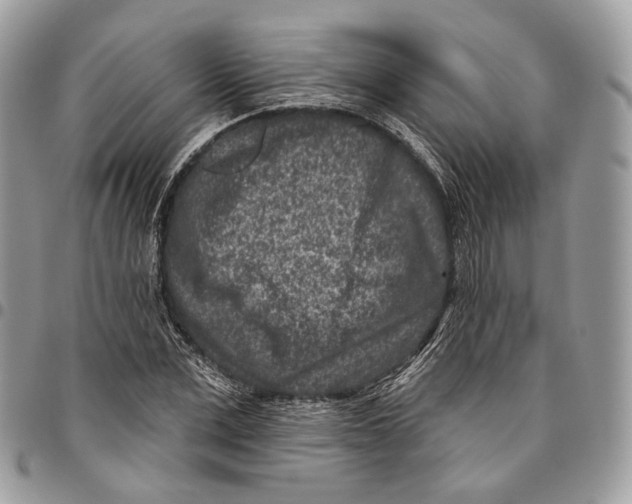 X0000095900975200802081136